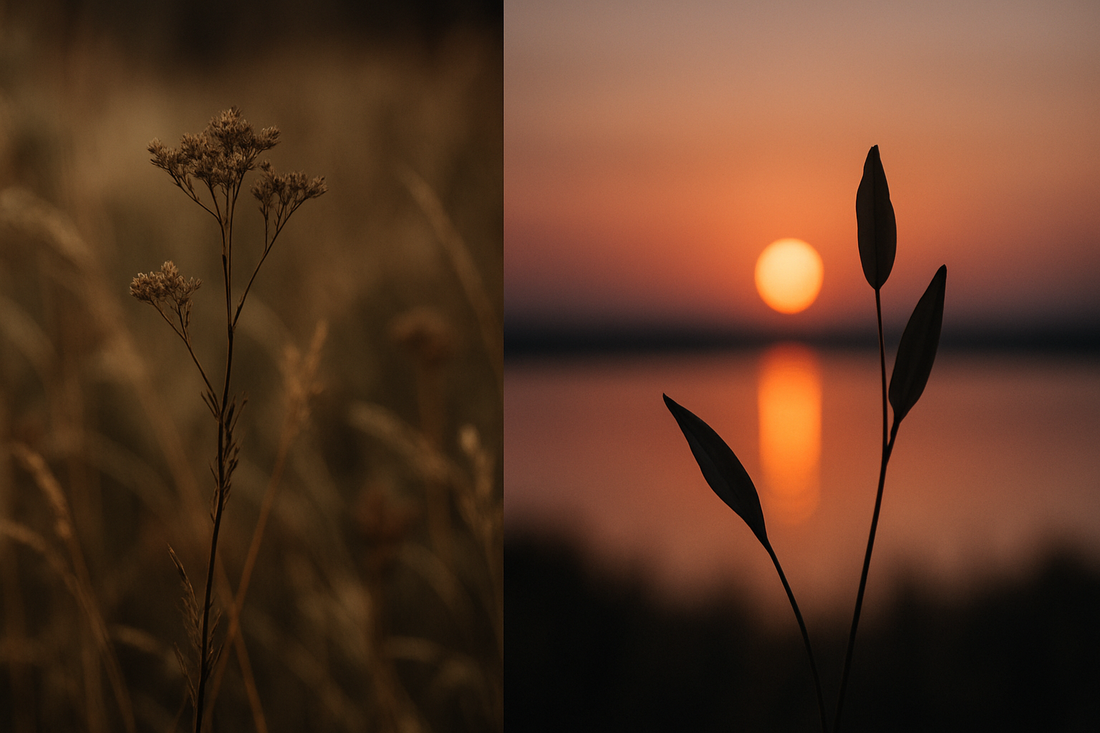 Elegante cena de setembro dividida com texturas terrosas do fim do verão de um lado e uma simetria crepuscular equilibrada e etérea do outro, simbolizando Virgem e Libra.